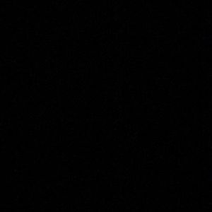 Meet your Posher, Anne